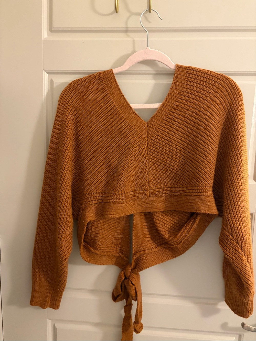 Cropped V-Neck Open Back Tie-Front Sweater - Rust